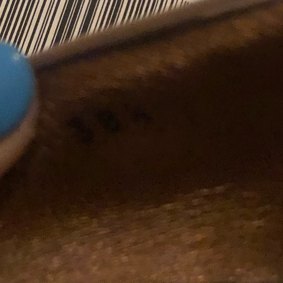 Bally pumps - Picture 6 of 6